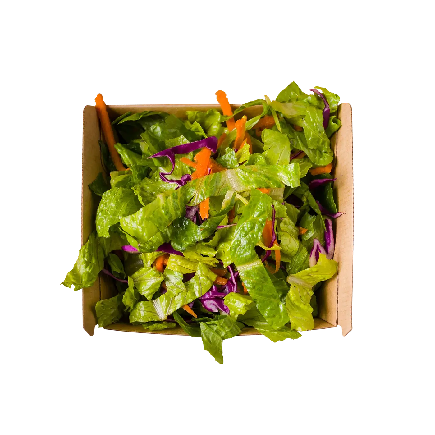 Fresh Salad